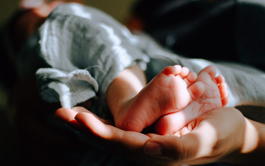 Babies, Families, and Money. Is This the Training for You?