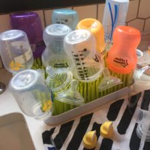 introduce a bottle feeding 